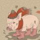 Cochon - description et caractéristiques Cochon jaune - symbole animal